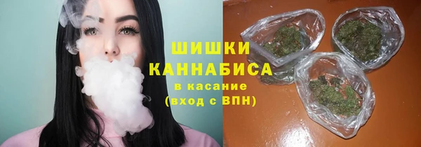 дживик Балахна