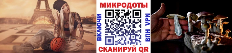 Галлюциногенные грибы прущие грибы  Купить закладки  Янаул 